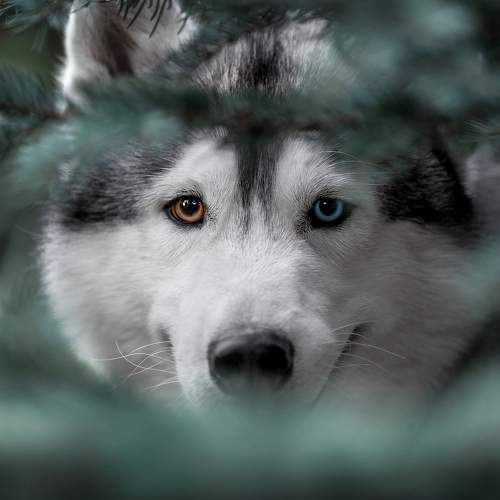 Photo #6190751