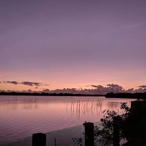 Photo #6191067