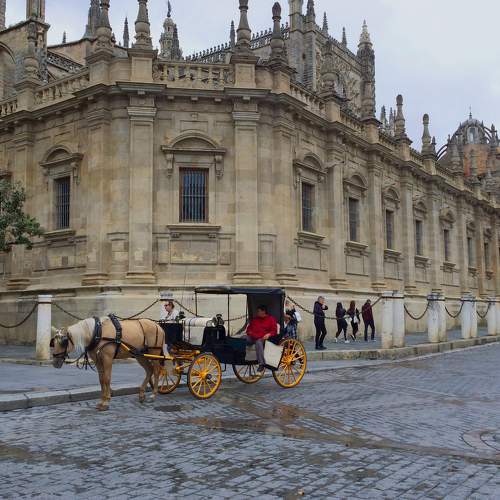 Photo #6191484