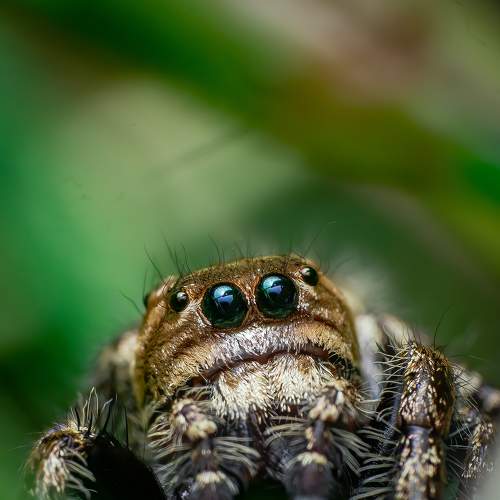 Photo #6191552