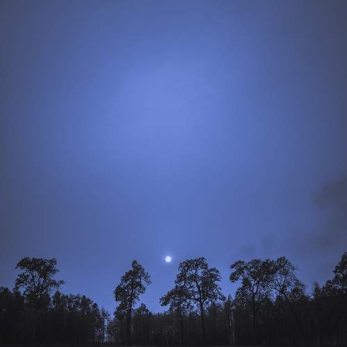 Silent Night