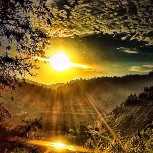 Photo #6191773
