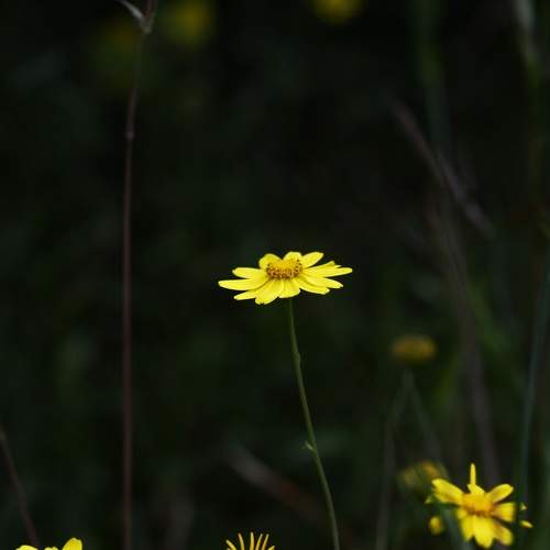 Photo #6191956