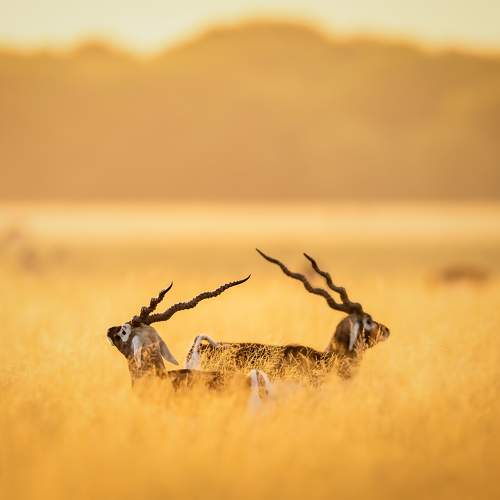 Фотография #6192046