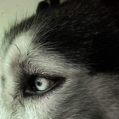 Photo #6192062