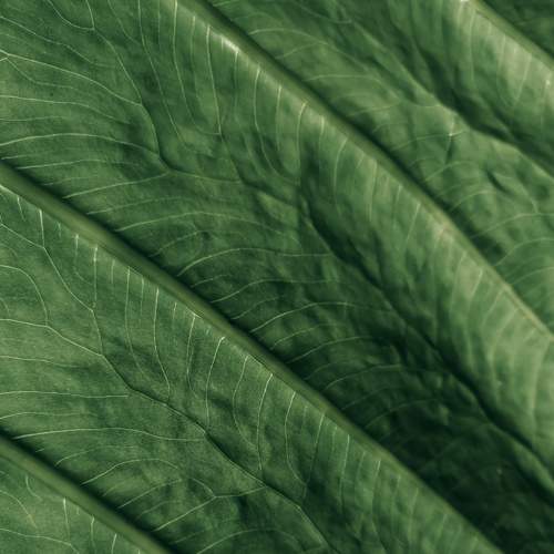 Photo #6192063