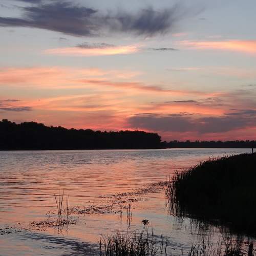 Photo #6192074