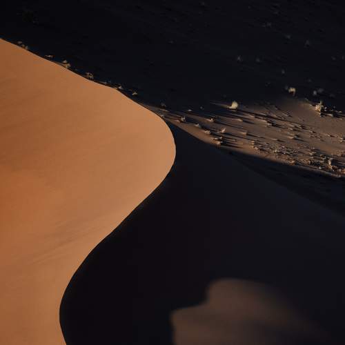 Photo #6192079