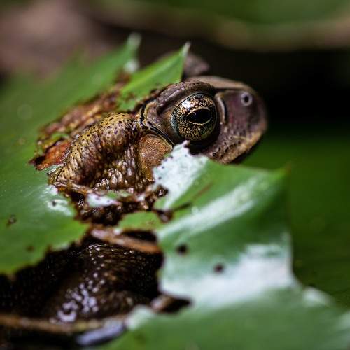 Photo #6192357