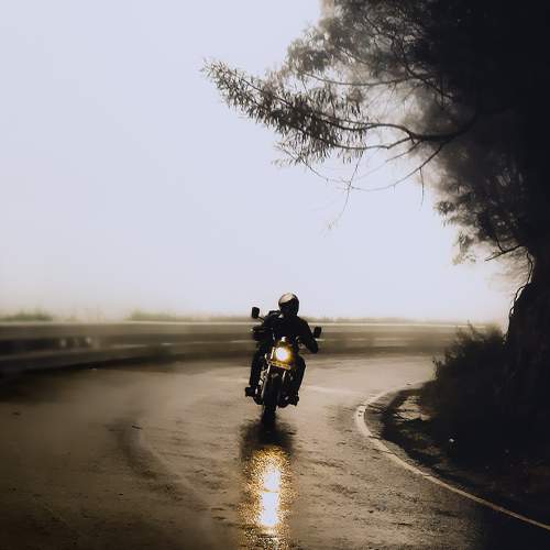 Photo #6192448