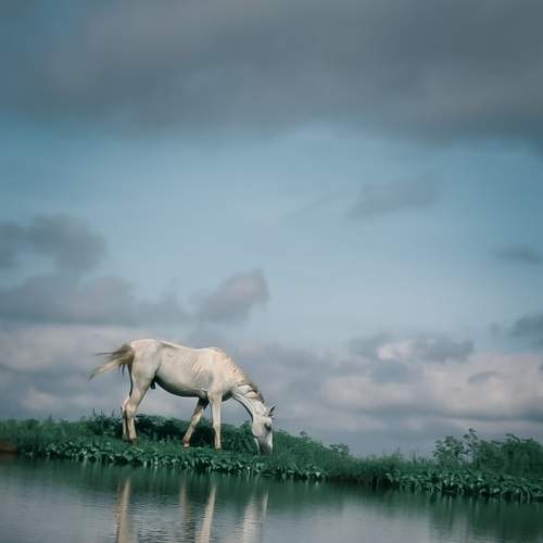 Photo #6192577