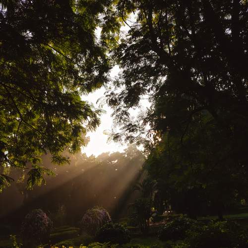 Photo #6192654