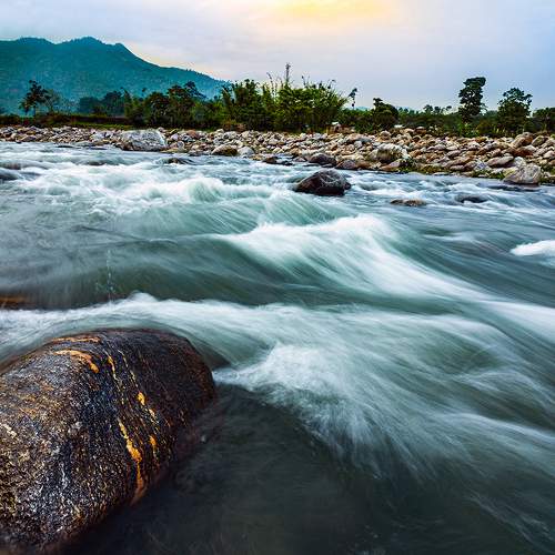 Photo #6192680
