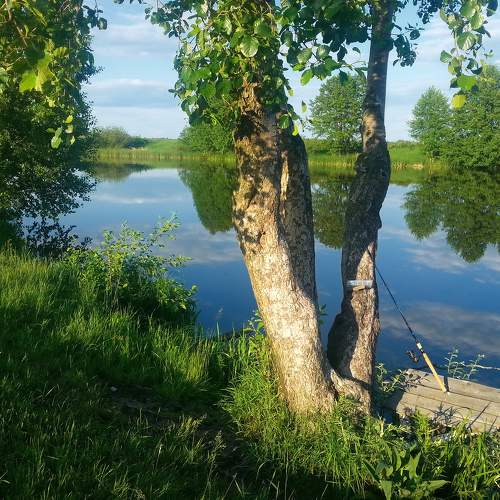 Утром на рыбалке