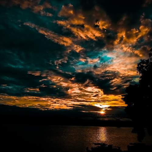 Photo #6193123