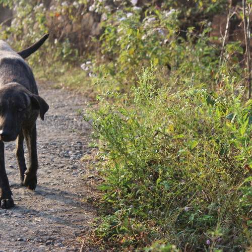 Photo #6193179