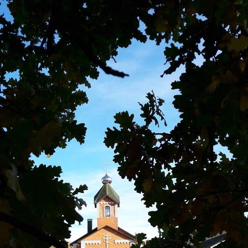 Photo #6193287