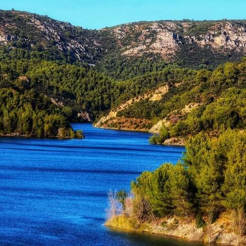 Photo #6193295