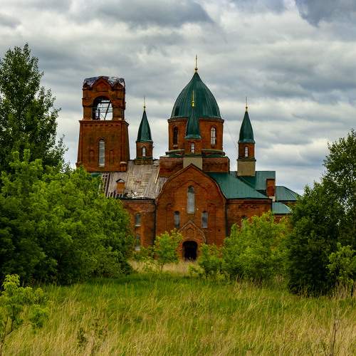 Photo #6193455