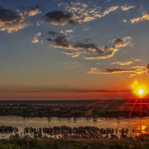 Photo #6193483