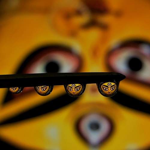 Macro shot