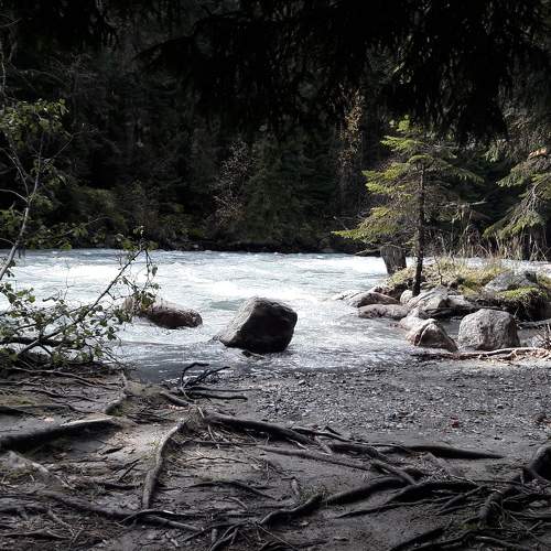 Photo #6193614