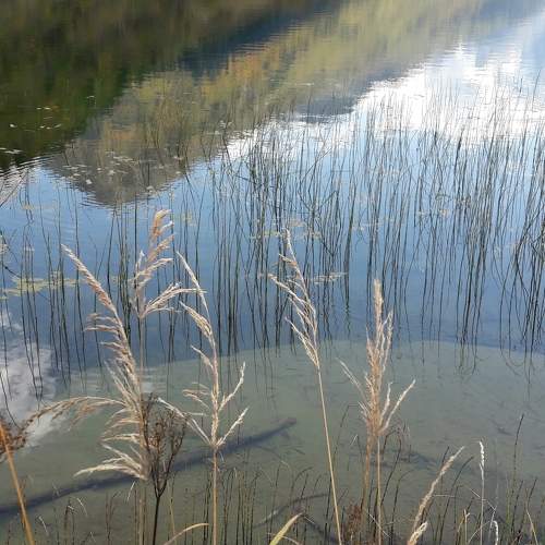 Photo #6193621