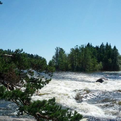 Photo #6193980