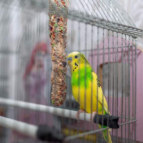 Photo #6193983