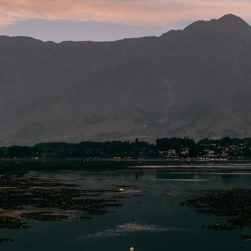 Shikara in Dal lake