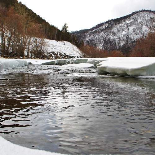 Photo #6194210