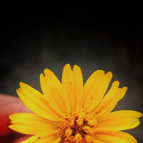 Photo #6194464