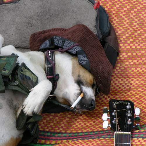 Photo #6194690