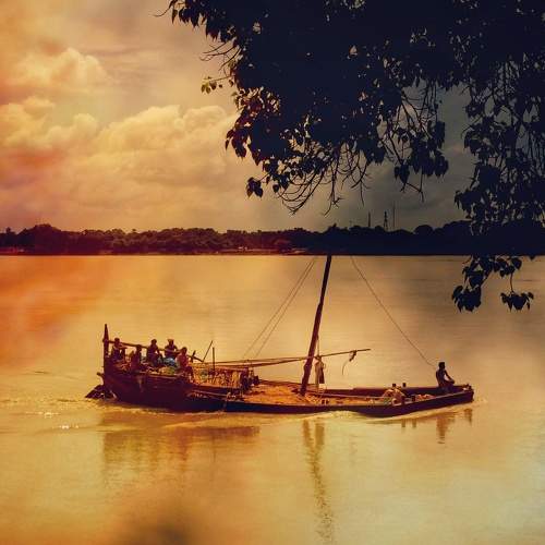 Photo #6194818
