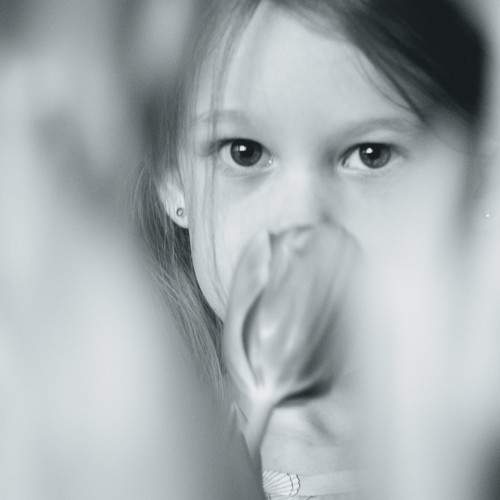 Photo #6194873