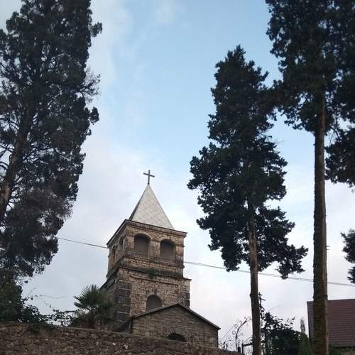 Photo #6195044