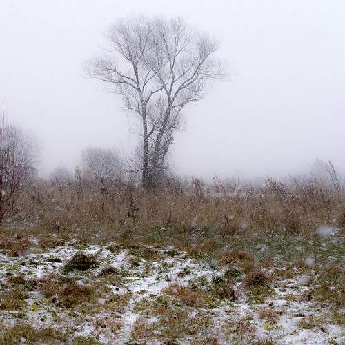 Photo #6195498