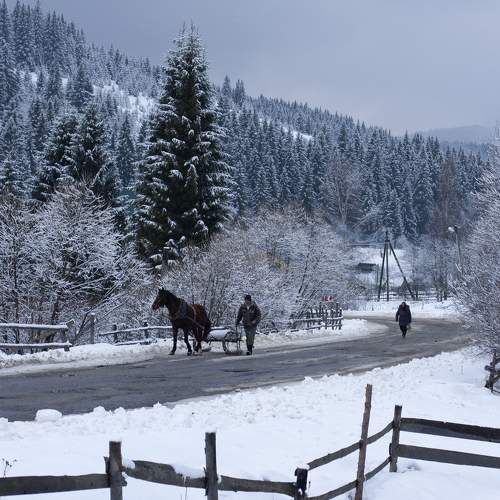 Photo #6195559