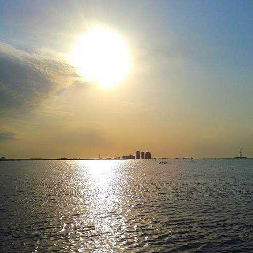 Photo #6195745
