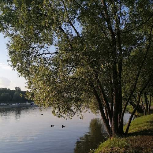Photo #6196028