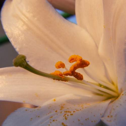 Photo #6196400