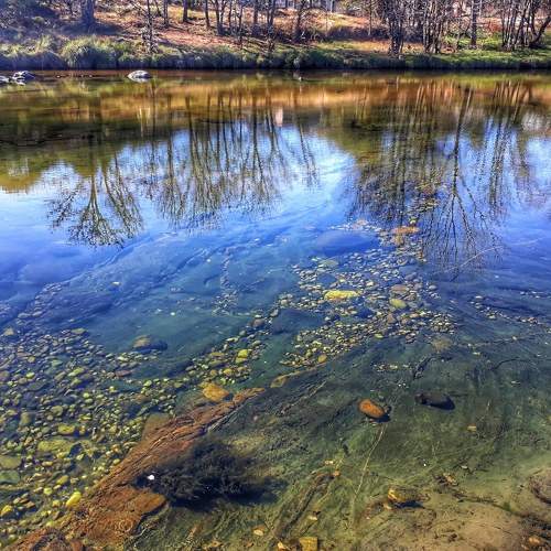 Photo #6196441