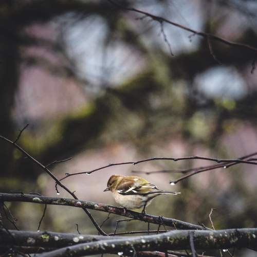 Photo #6196504