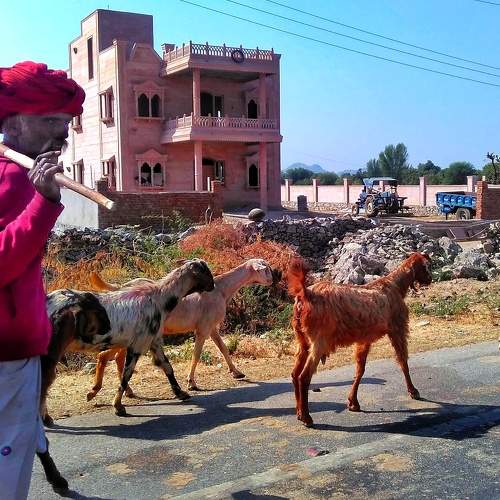 Photo #6196791