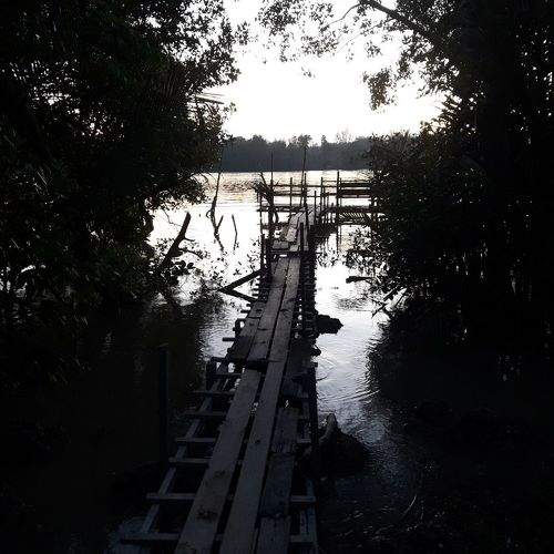 Photo #6196913