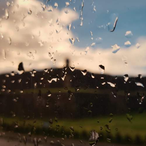 Moist window