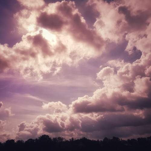 Photo #6196999