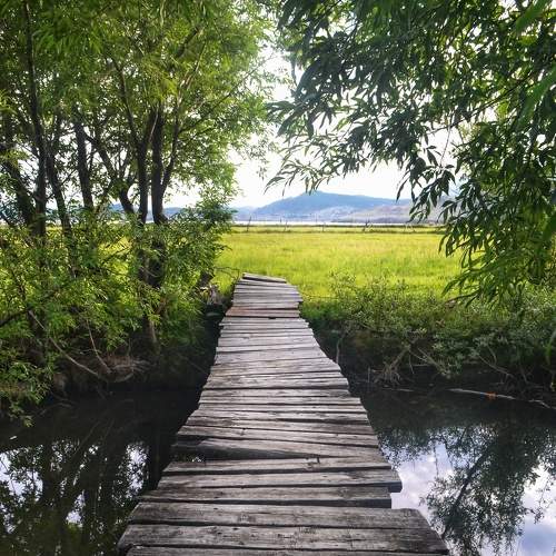 Photo #6197303
