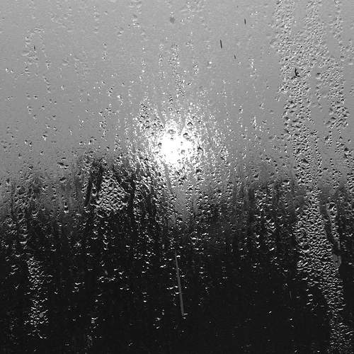 Photo #6197311