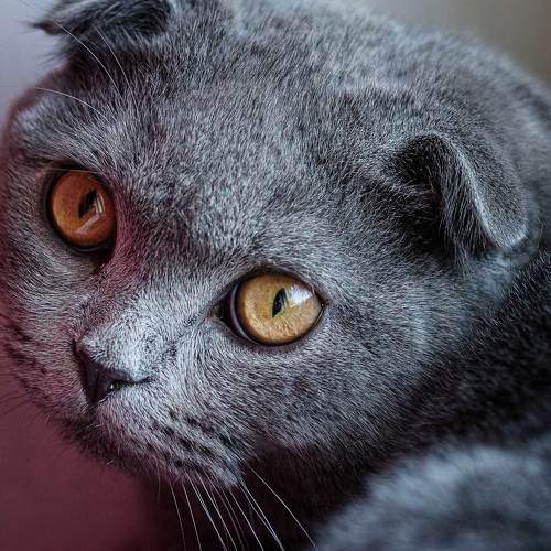 Photo #6197539